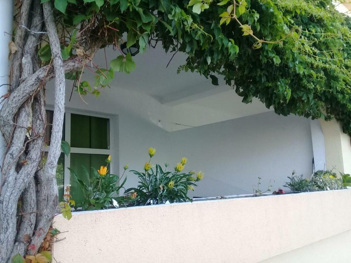 Montenegrina Apartment บุดวา ภายนอก รูปภาพ